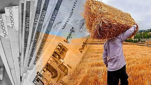 پول گندمکاران معطل جلسات بی‌نتیجه؛ تعیین نرخ خرید تضمینی باز هم به تعویق افتاد