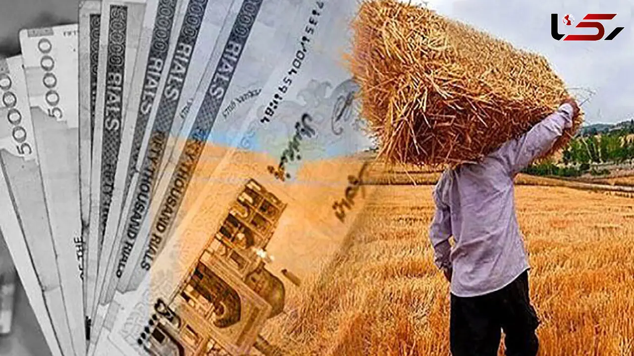 پول گندمکاران معطل جلسات بی‌نتیجه؛ تعیین نرخ خرید تضمینی باز هم به تعویق افتاد