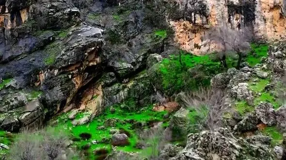 از باغ گیاه شناسی تا طبیعت بکر بختیاری