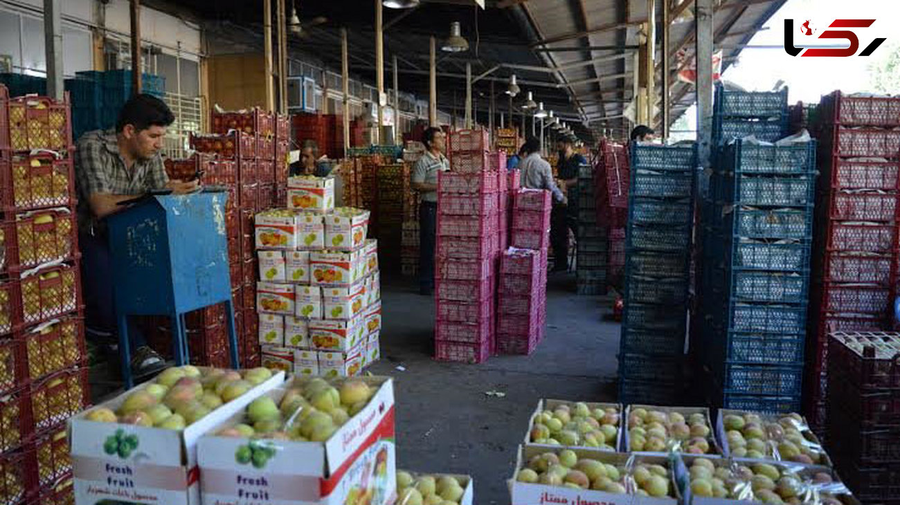 روایت قطری‎ها از میوه‎های ارزان ایرانی