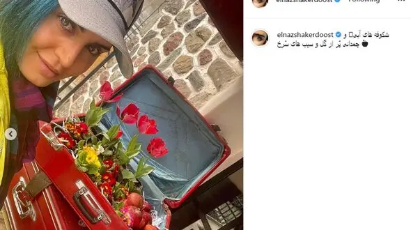 ظاهر جدید الناز شاکردوست با موهای رنگی در نوروز+عکس