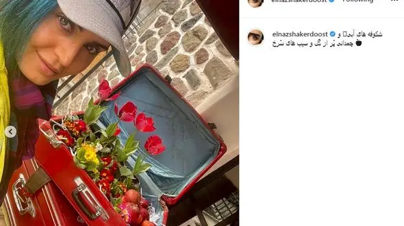 ظاهر جدید الناز شاکردوست با موهای رنگی در نوروز+عکس