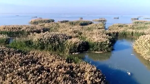 ببینید / نماهنگ بی کلام و آرامش بخش با تصاویر زیبا از تالاب هورالعظیم + فیلم 