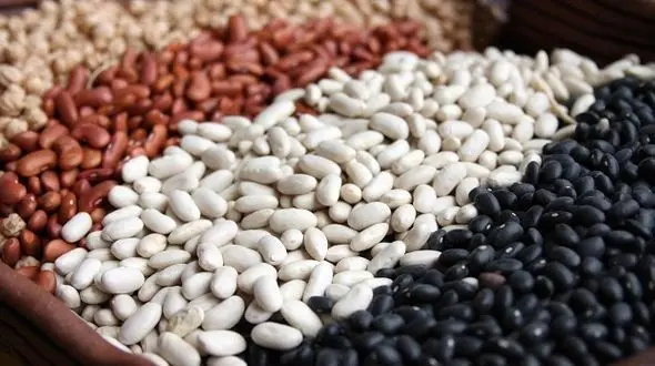 مبارزه با سرطان با لوبیای سحر آمیز