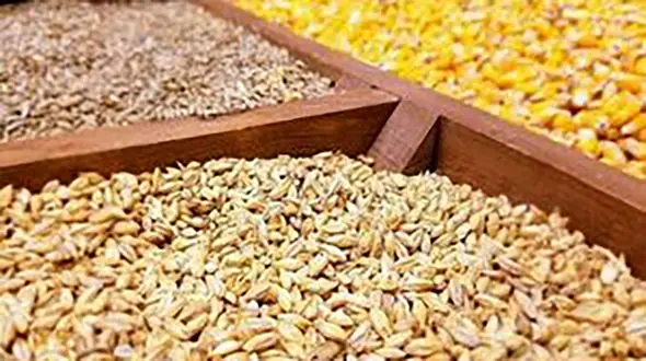 دولت یارانه را به کشاورز خارجی می‌دهد !