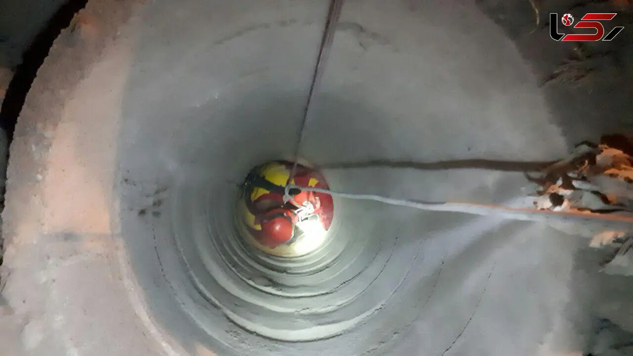 نجات یک شتر از چاه  