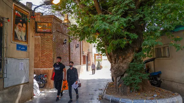 جدول قیمت اجاره خانه در محله جماران تهران