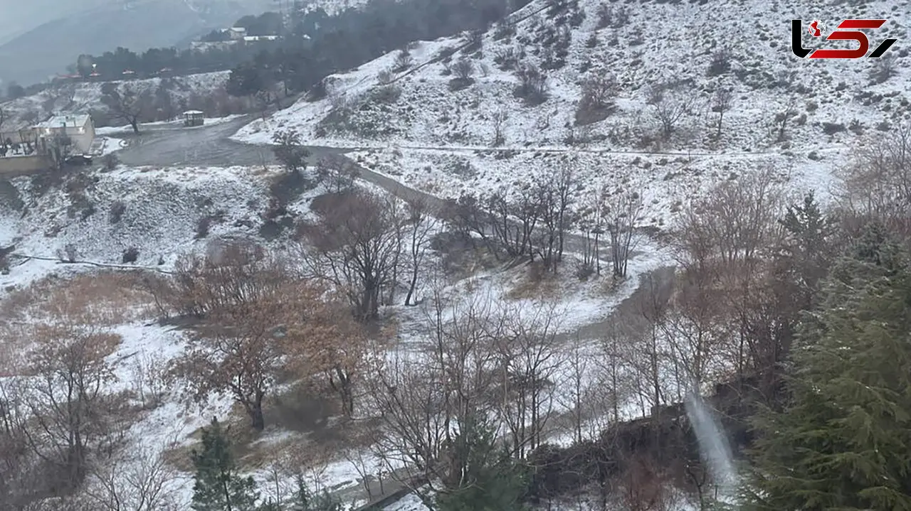 فال و طالع بینی امروز 30 بهمن 