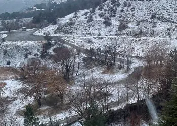 فال و طالع بینی امروز 30 بهمن 