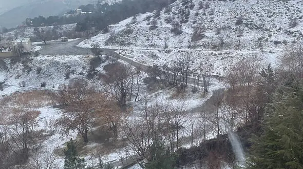 فال و طالع بینی امروز 30 بهمن 