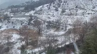 فال و طالع بینی امروز 30 بهمن 