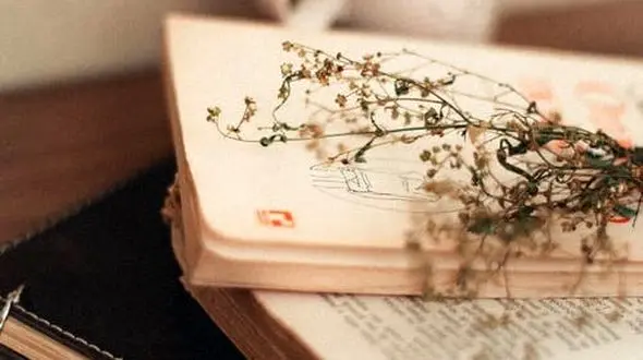 این هنرمند اولین زن ایرانی است که موسیقی درمانی را آموخت