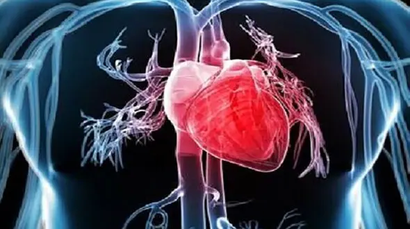 بهترین ورزش ها برای مراقبت از قلب شما