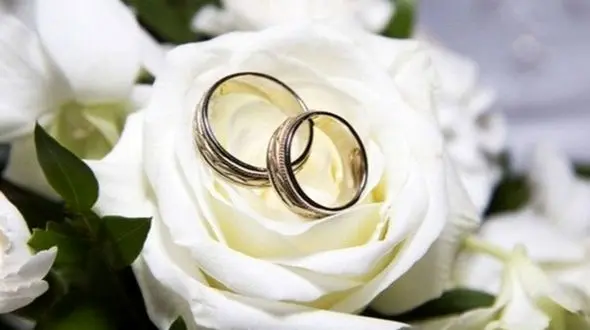 جشن عروسی اشرافی این دو میمون در هند+ عکس