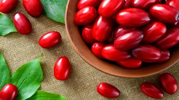 10 خاصیت بی نظیر زغال اخته 