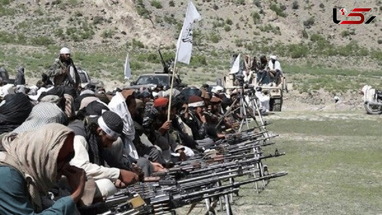 80 Taliban members were killed in 7 Afghanistan's provinces