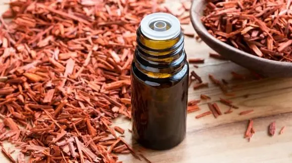 گیاه صندل قرمز در زیبایی معجزه می کند