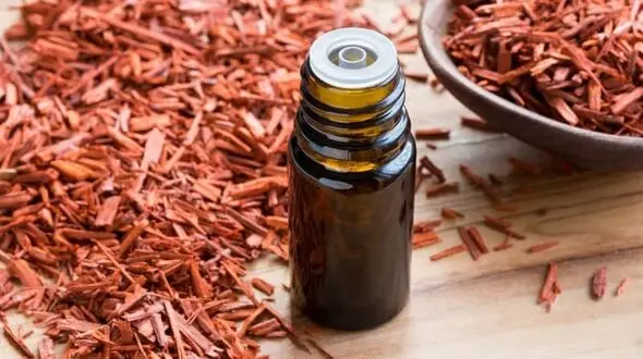 گیاه صندل قرمز در زیبایی معجزه می کند
