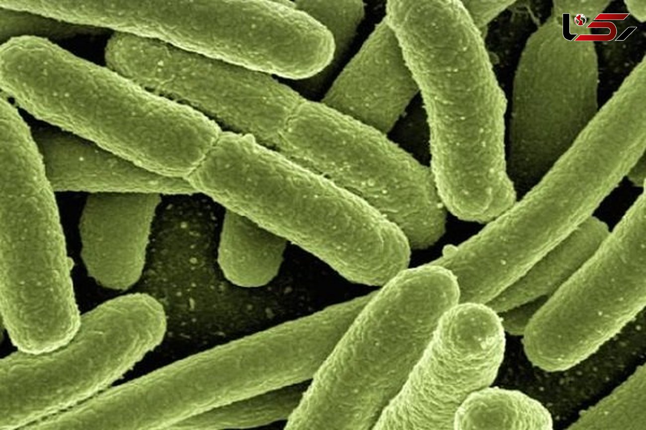 عصار های گیاهی با عفونت های باکتریایی مبارزه می کنند