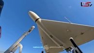 Images of the Shahed Drone Family + Video