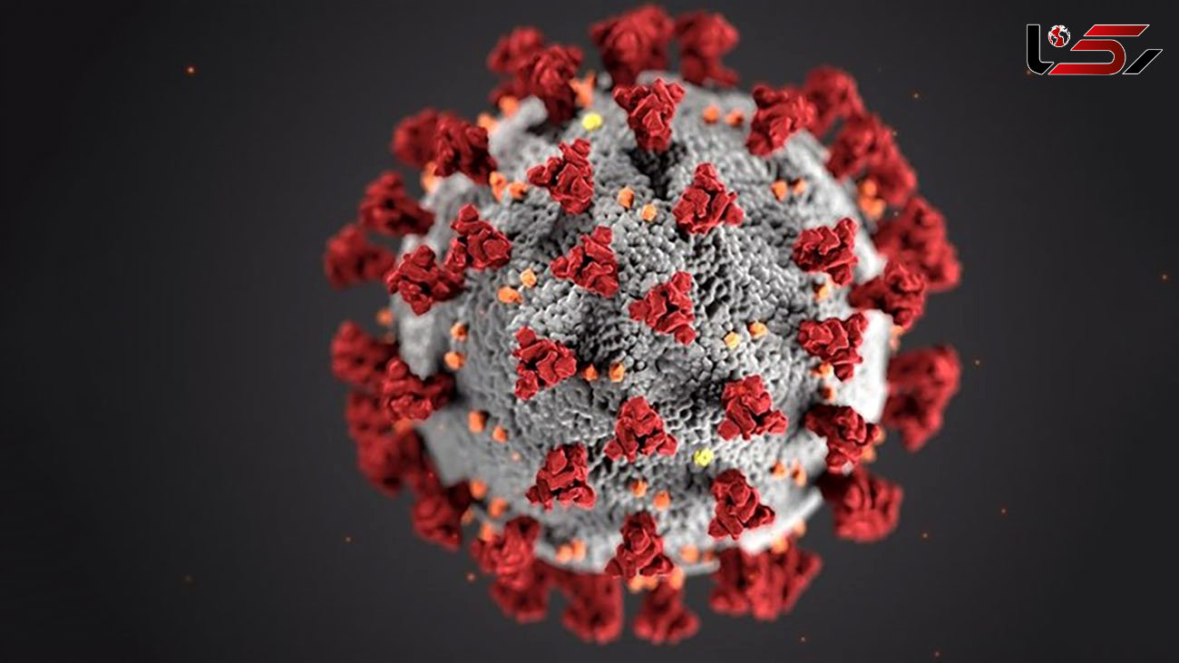 کشف "نانوبادی‌های" جدیدی که کروناویروس را خنثی می‌کنند