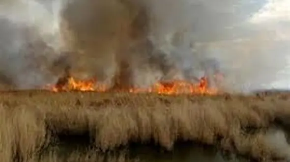 هور العظیم؛ هوری بی زبان در میان شعله های آتش!