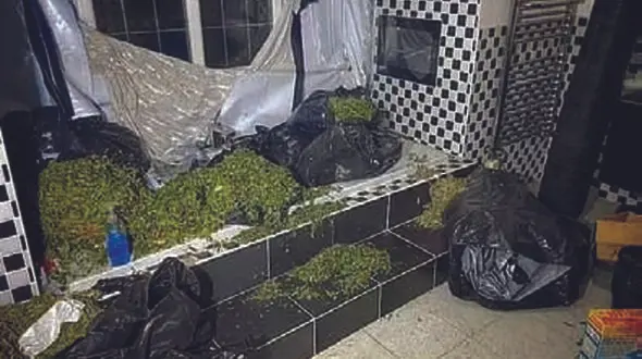 کشف صدها کیلوگرم مواد مخدر از خانه ستاره سابق توپچی های لندن