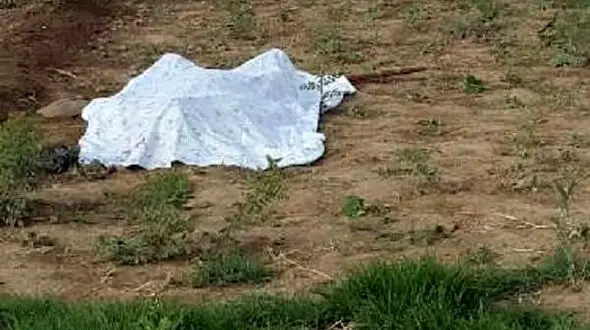 کشف جسد خشک شده جوان 24 ساله مینابی در مزرعه 