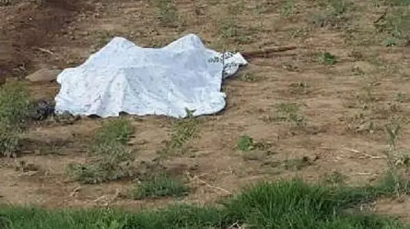 کشف جسد خشک شده جوان 24 ساله مینابی در مزرعه 