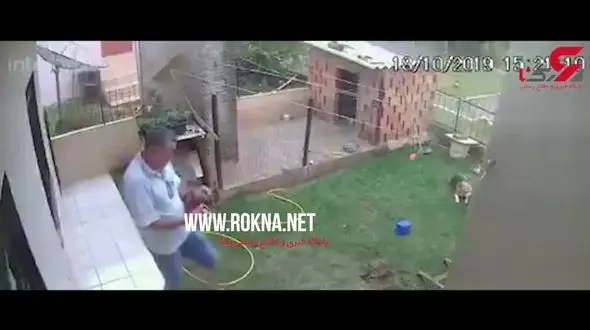 حادثه‌ای که این مرد هنگام کشتن سوسک‌ از آن جان سالم بدر برد! + فیلم