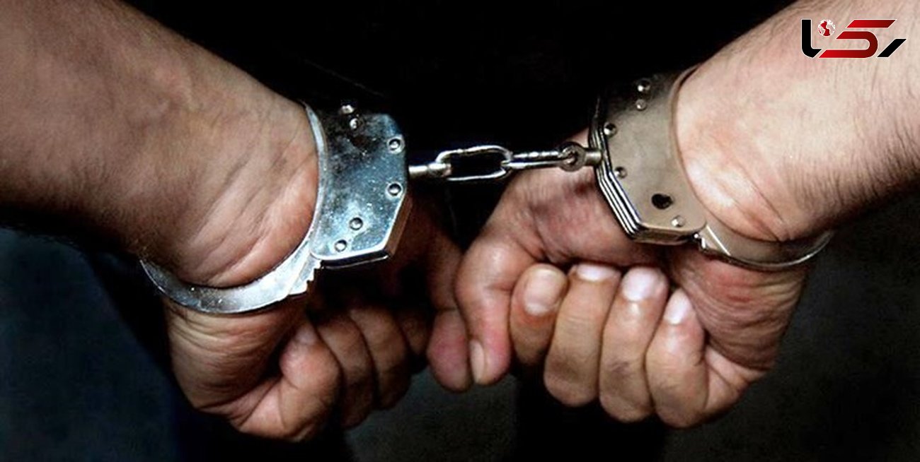 کشف محموله تریاک در تهرانپارس / قاچاقچی روانه زندان شد