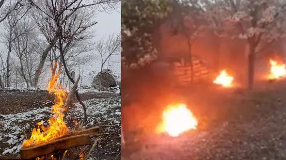 کاهش دمای هوا و نگرانی باغداران استان اردبیل + فیلم و عکس