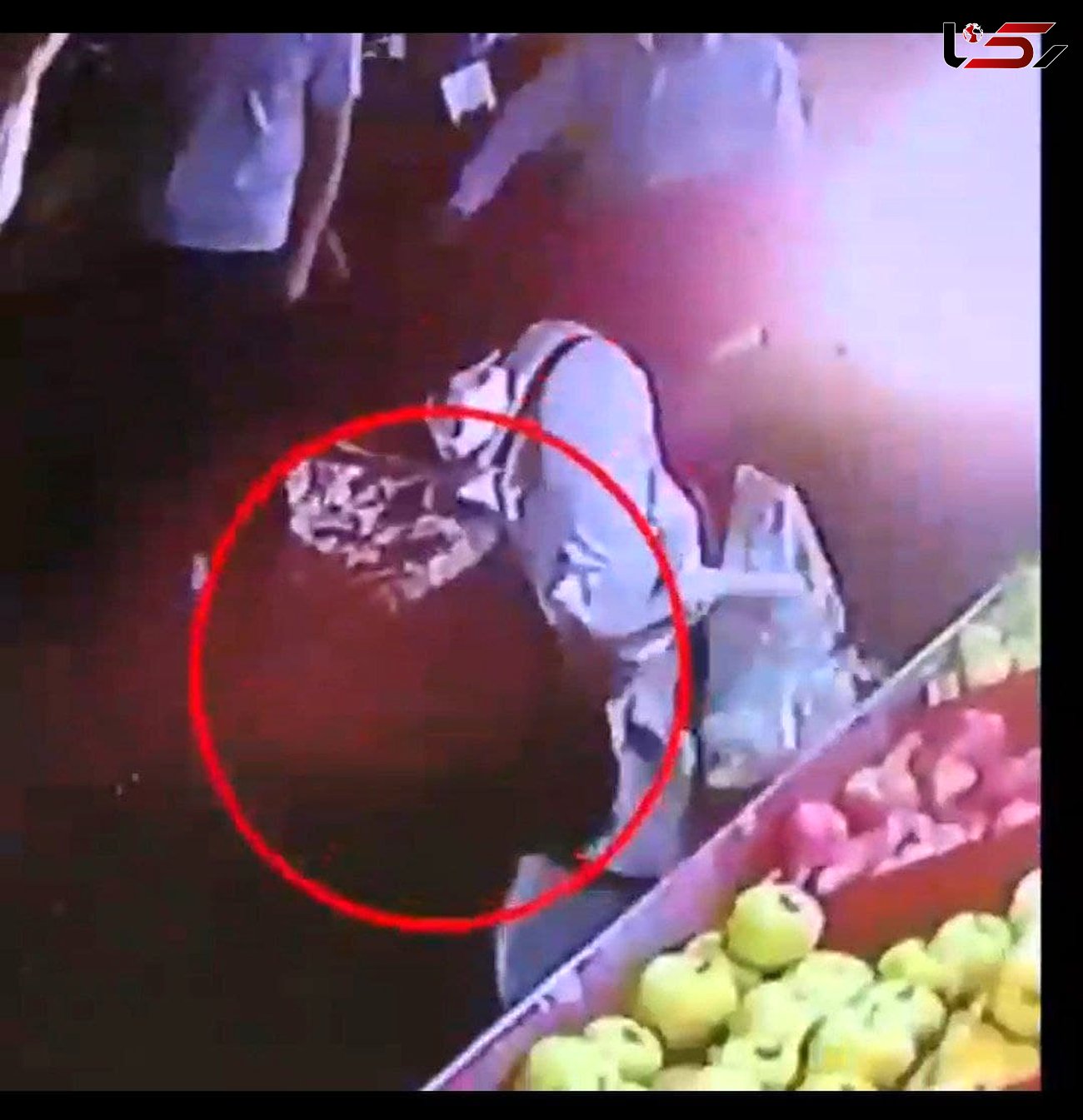 فیلم / شیوه عجیب سرقت یک زن در میوه فروشی
