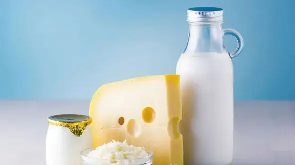 مصرف لبنیات و کاهش علائم افسردگی؛ یافته‌ ای امیدوارکننده برای سلامت روان
