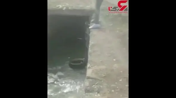 دستگیری مردی که سگی را دار زد  / در پارس آباد مغان رخ داد + فیلم شکنجه