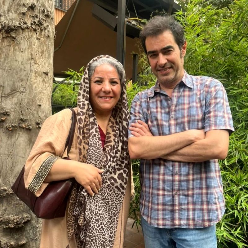 شهاب حسینی
