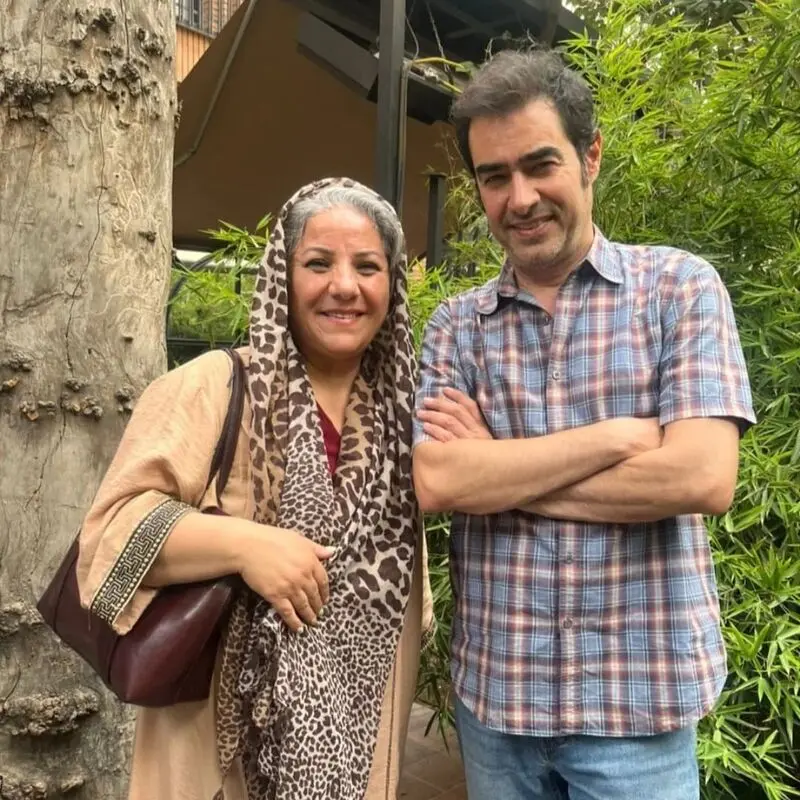 شهاب حسینی