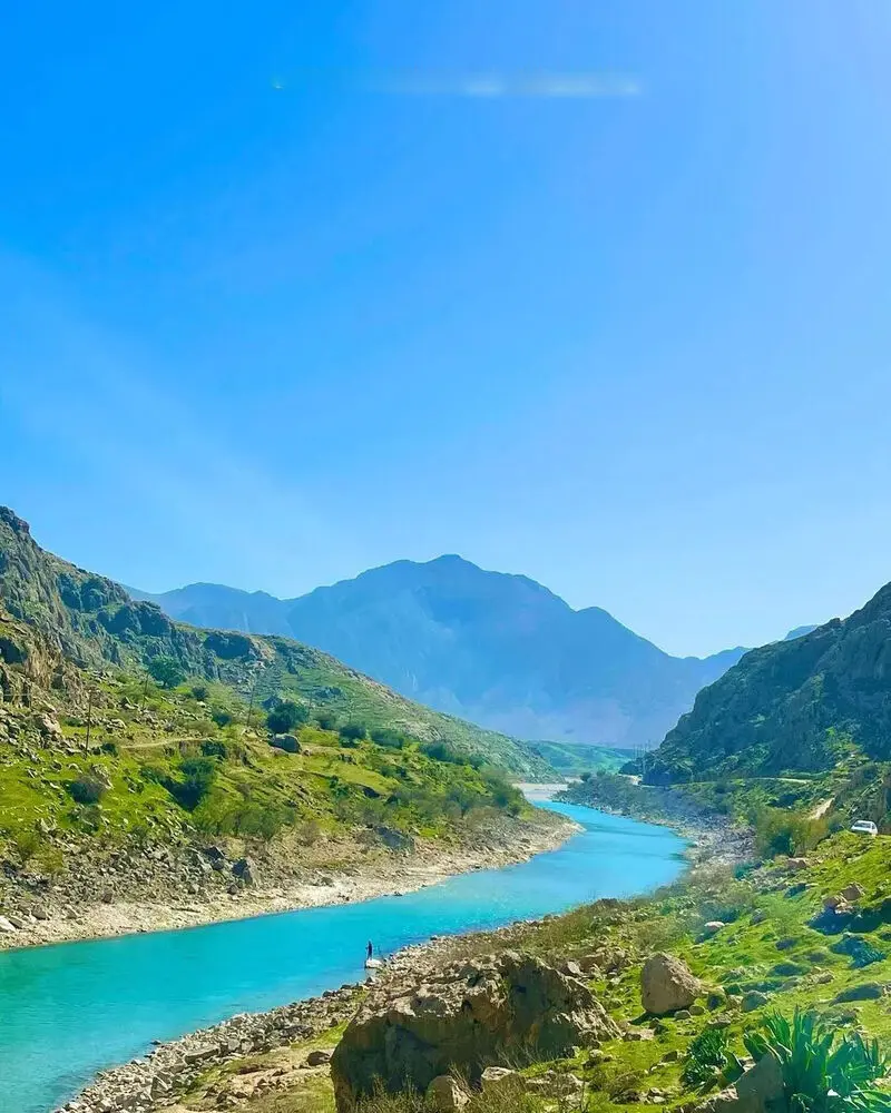 زیبایی دشت سوسن