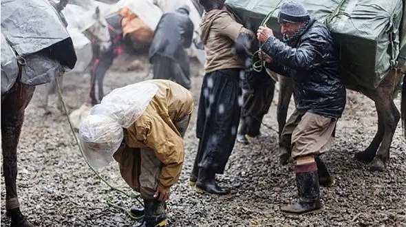 پرداخت دیه به کوله بران سانحه دیده 