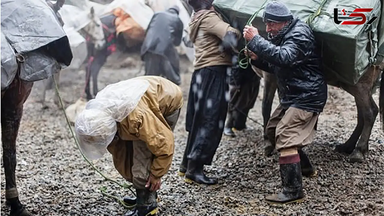 پرداخت دیه به کوله بران سانحه دیده 
