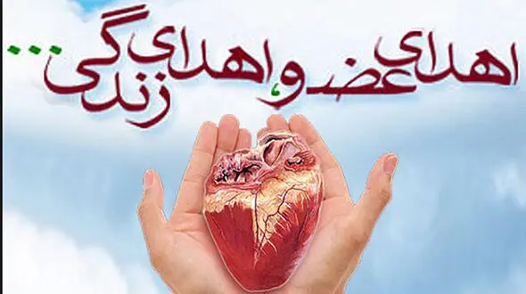 فیلم وداع با علی بادپروا و همسرش در خراسان شمالی / آنها فرشته بودند