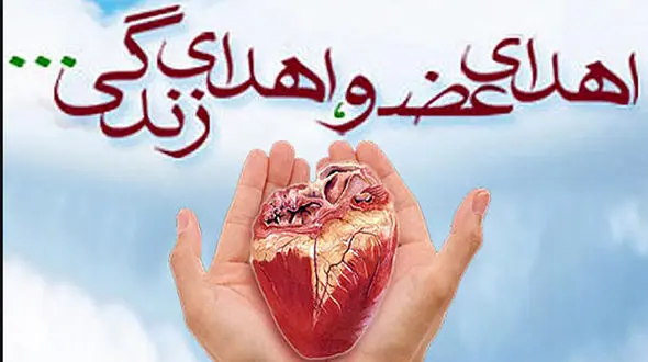 پرواز جان بخش در نجف آباد / وحید کیانی فرشته شد