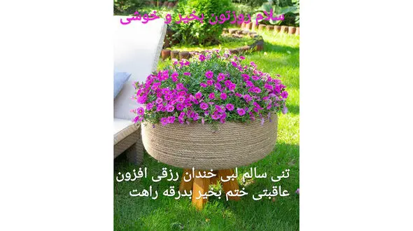 فال روزانه شخصی / 6 خرداد ماه + فیلم
