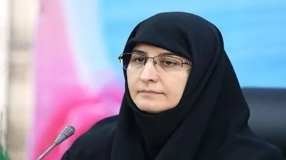 حکیم زاده: 210 هزار دانش آموز ابتدایی از تحصیل جاماندند