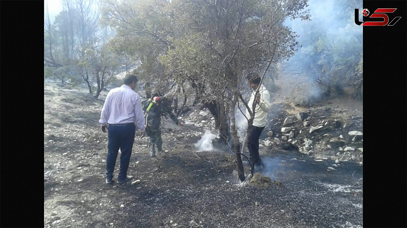 آتش سوزی در شهرستان عنبرآباد