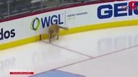 هاکی بازی کردن جالب و بامزه یک سگ روی زمین یخی + فیلم