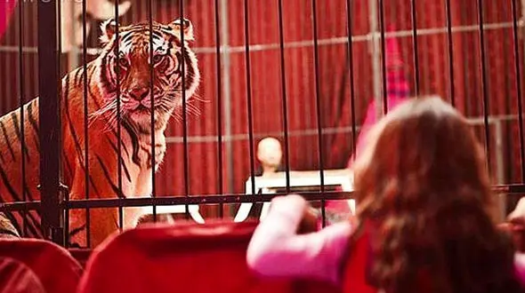 واکنش جالب حیوانات سیرک پس از آزادی + فیلم 