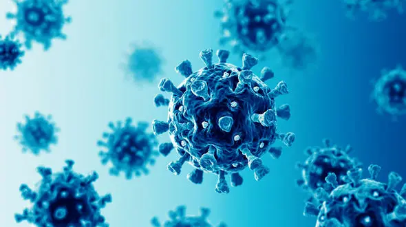 کرونا در دمای پایین نمی میرد / سرما باعث شدید شدن کووید19 می شود