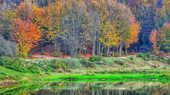 از طبیعت زیبا و تماشایی رودبار تا طبیعت خوزستان و گلستان