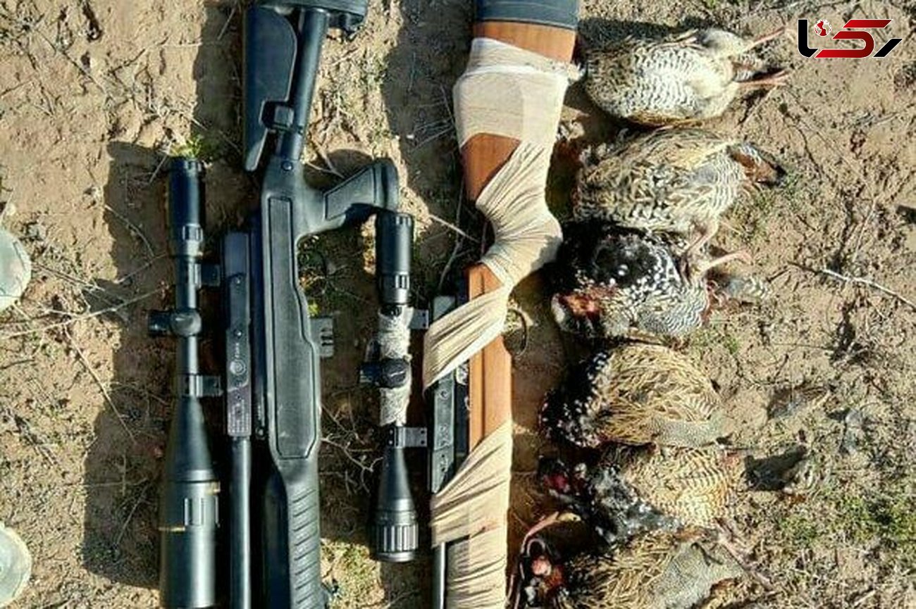 قاچاقچی پرندگان شکاری در سنندج دستگیر شد